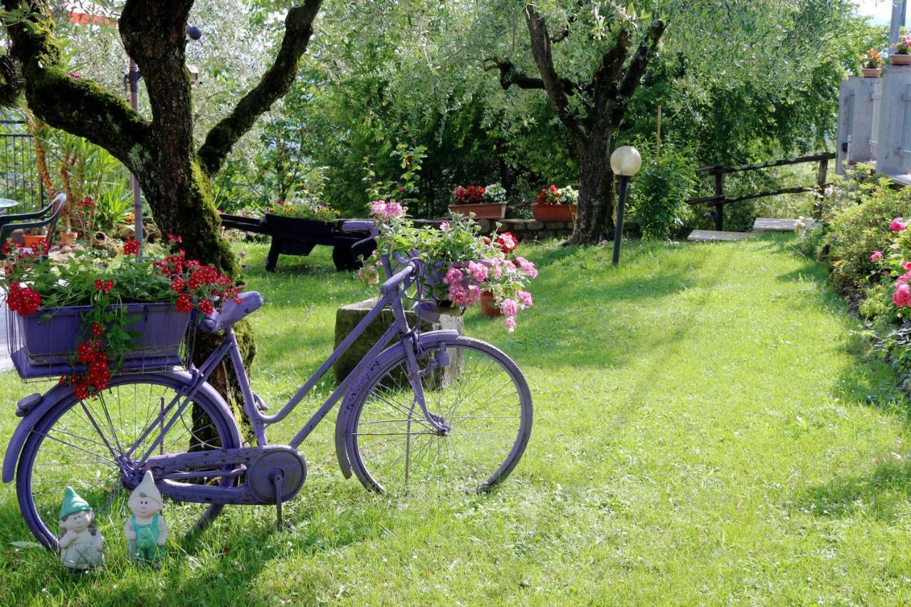 Appartamenti L'Olivo Bagnone Kültér fotó